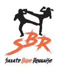 Logo SBR